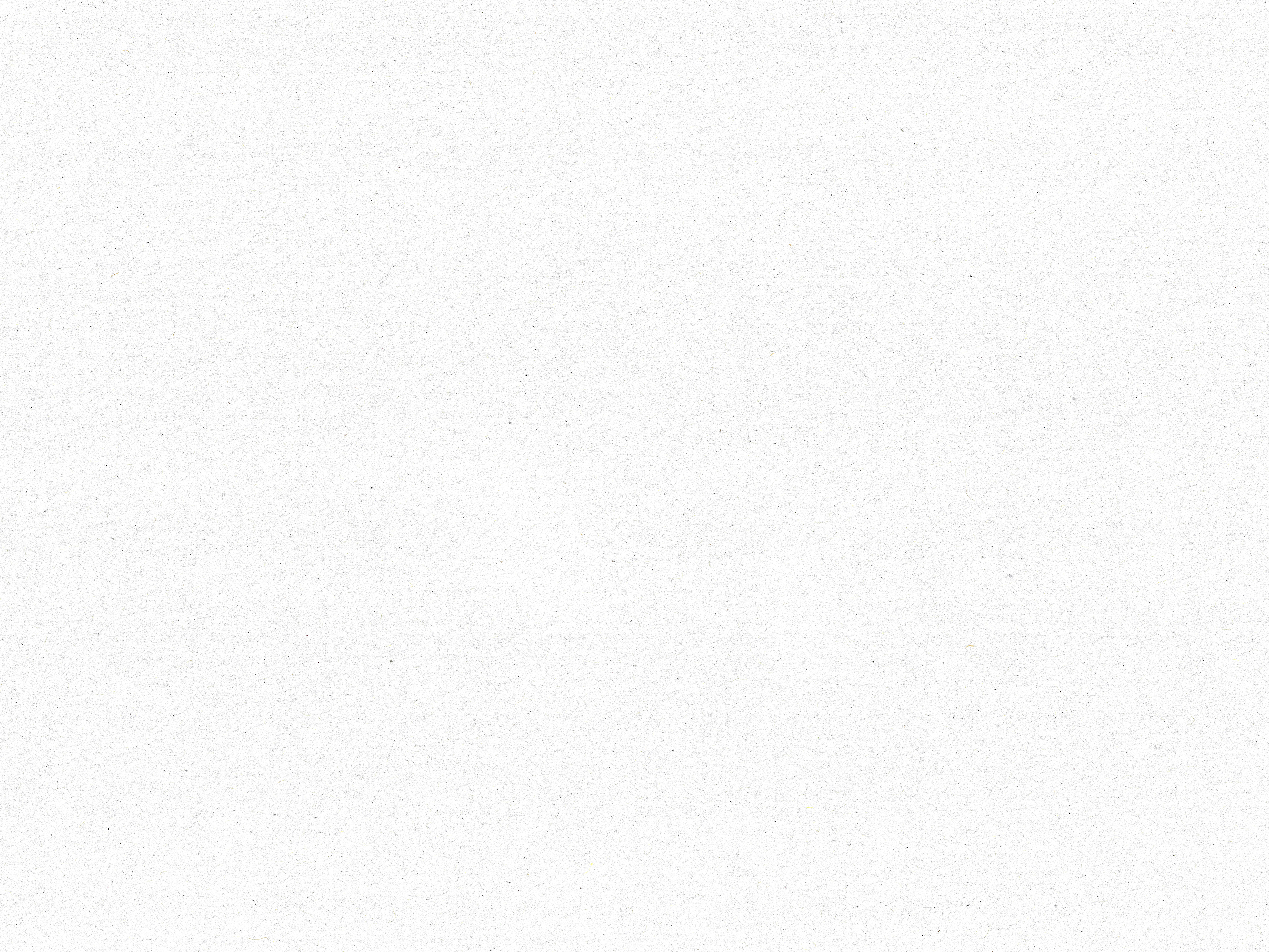 Fondo Web